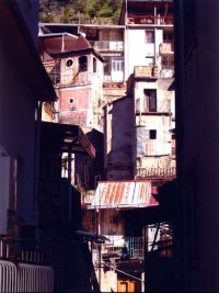 Cotroneo-Daniela-6.jpg