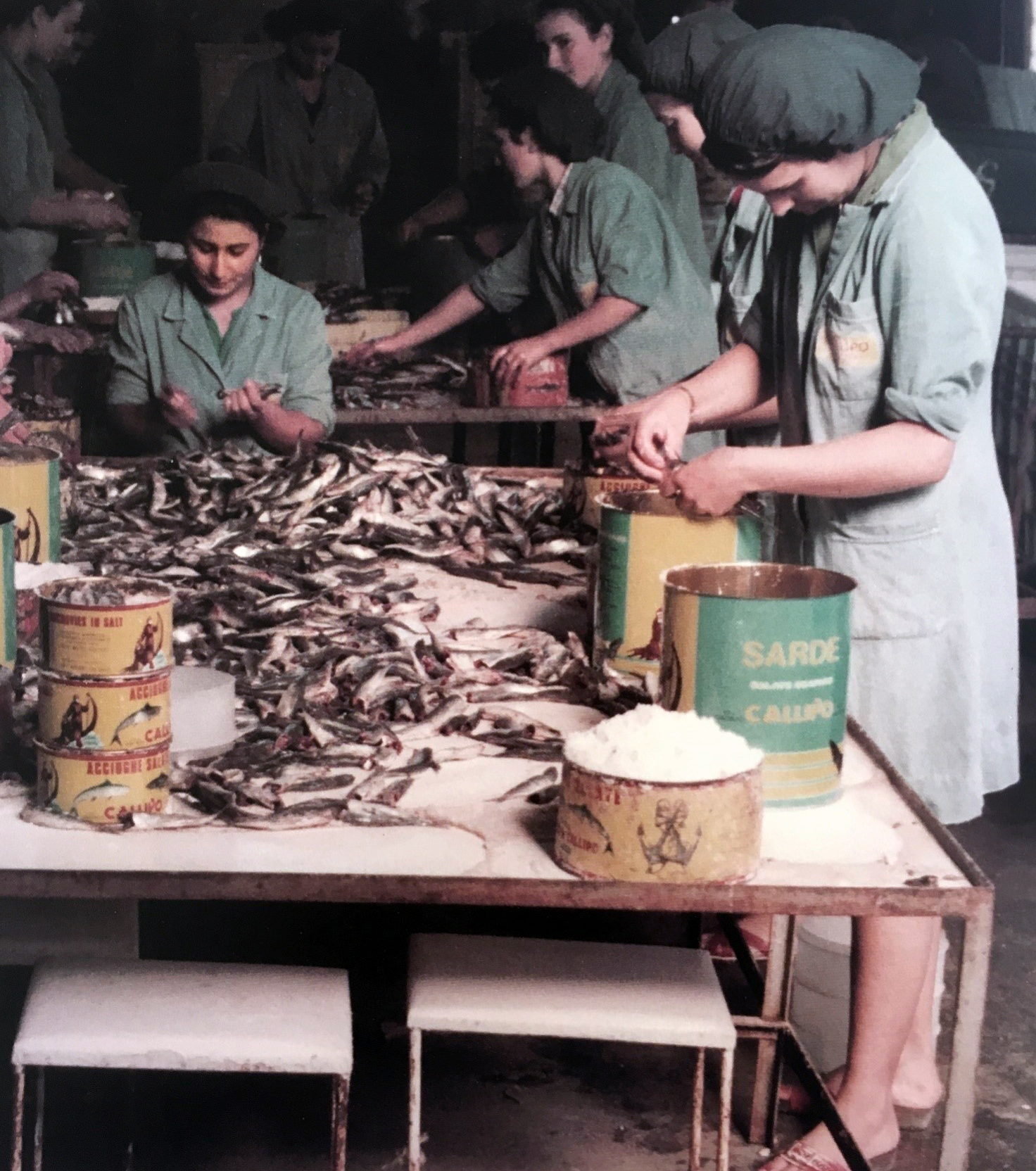 Stabilimento di Riviera Prangi, primi anni ’80: le addette alla linea di produzione delle sarde Stabilimento di Riviera Prangi, primi anni ’80: le addette alla linea di produzione delle sarde