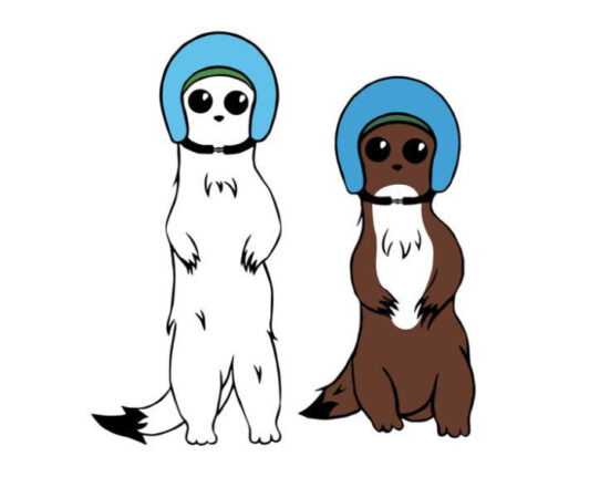 Mascotte Milano Cortina 2026: ufficiale la vittoria degli ermellini calabresi