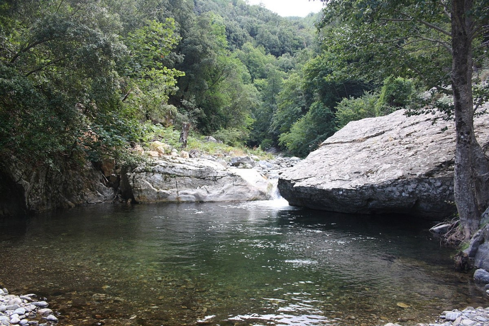 ambiente