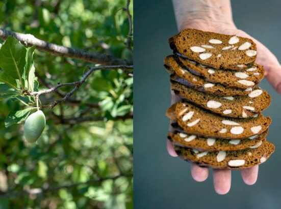 Due nuovi presidi Slow Food in Calabria: “pruna di frati” e “piparelle”