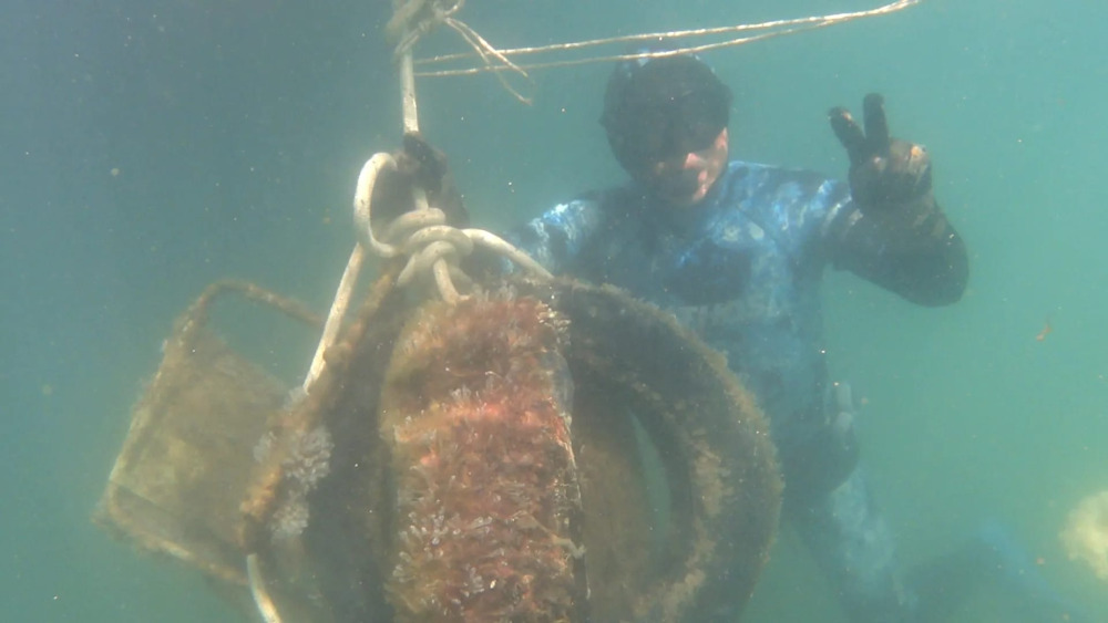 Giuseppe Aiello. Orgoglio calabrese nella pesca in apnea