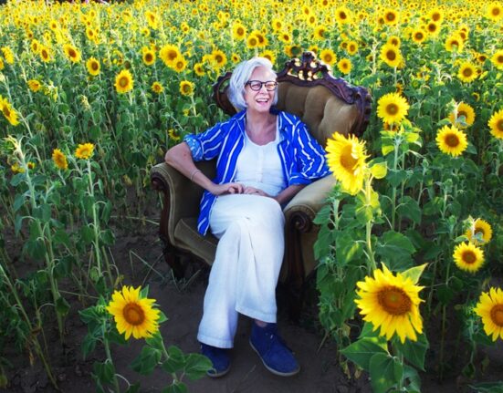 Il tempo dei girasoli