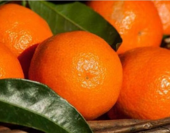 Clementine eccellenza in vetrina: campagna innovativa per promuovere la qualità calabrese