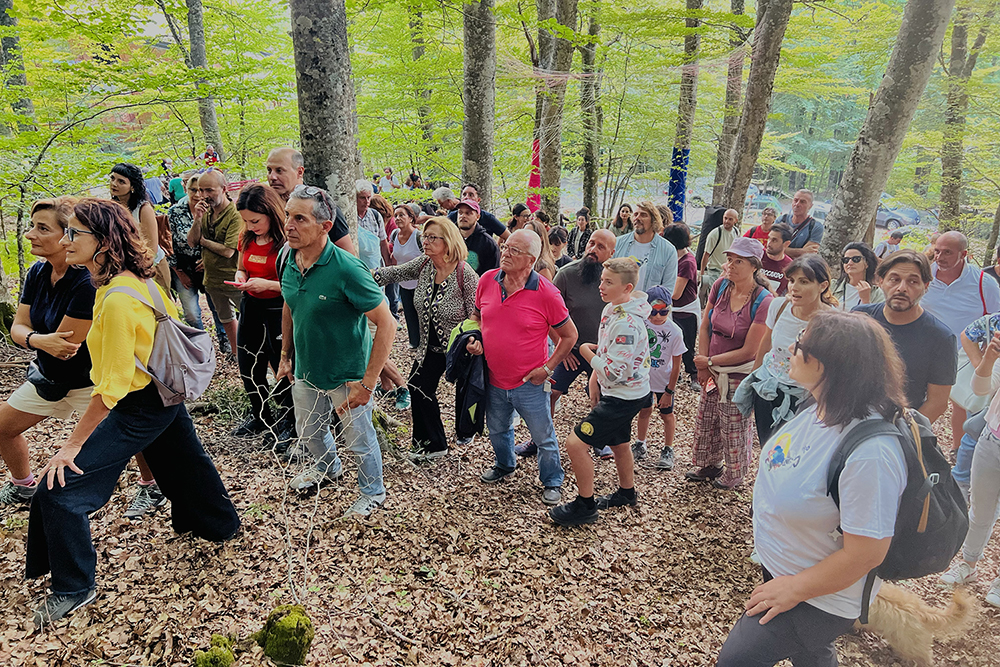 Pubblico nel bosco di Gambarie durante Aspromondo Face Festival nell’articolo Rinascite d’Aspromonte