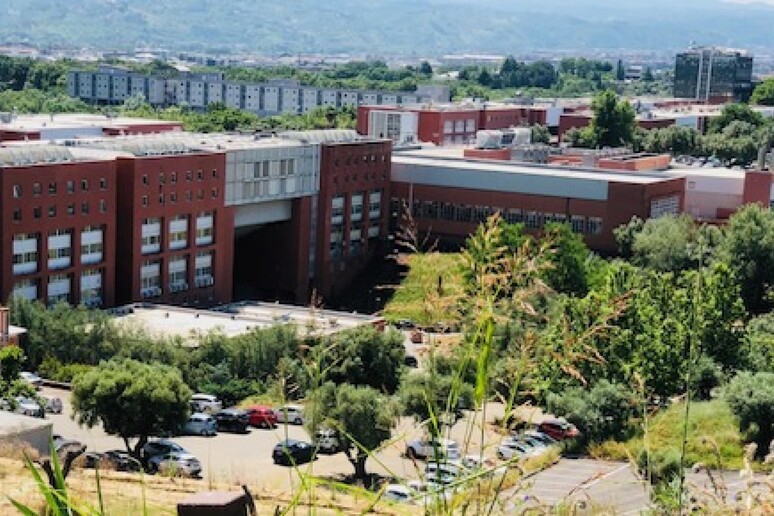 Unical, 89 docenti tra i migliori ricercatori al mondo