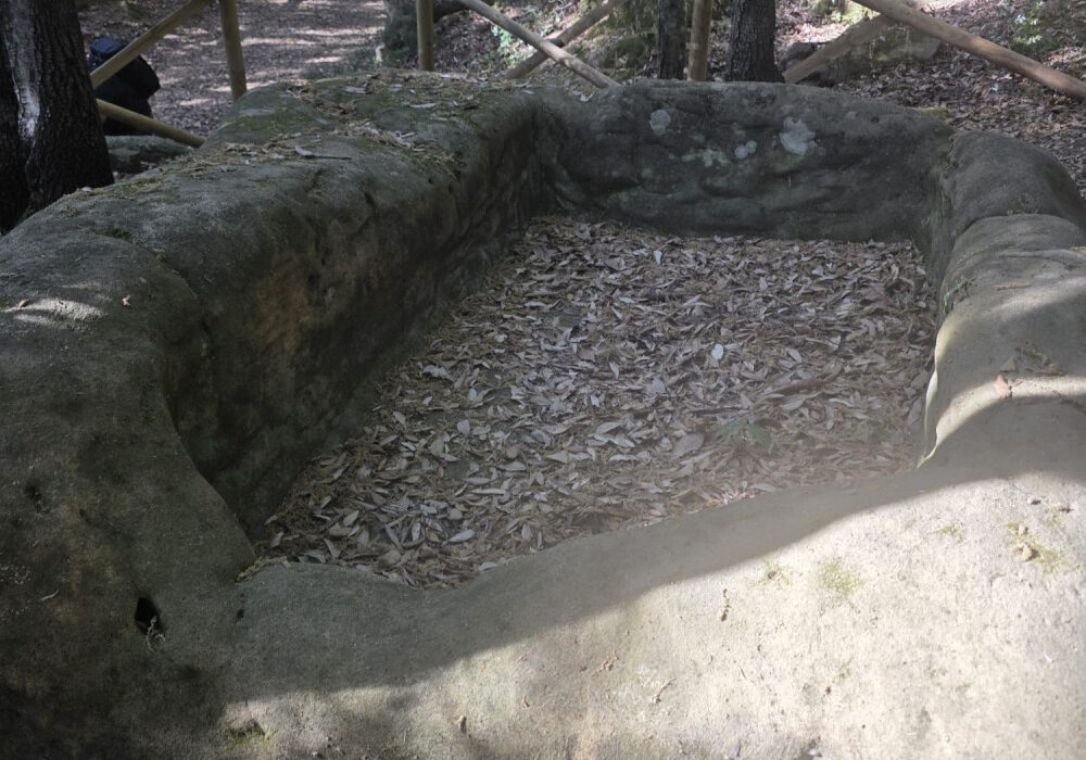 palmenti ferruzano 2 6