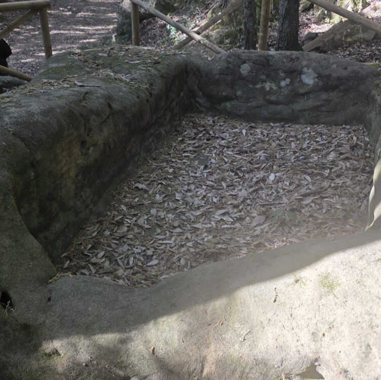 palmenti ferruzano 2 6