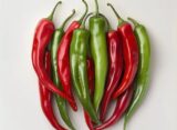 peperoncino 7