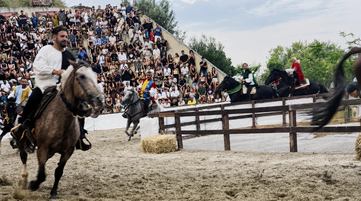 Palio Ribusa 2026