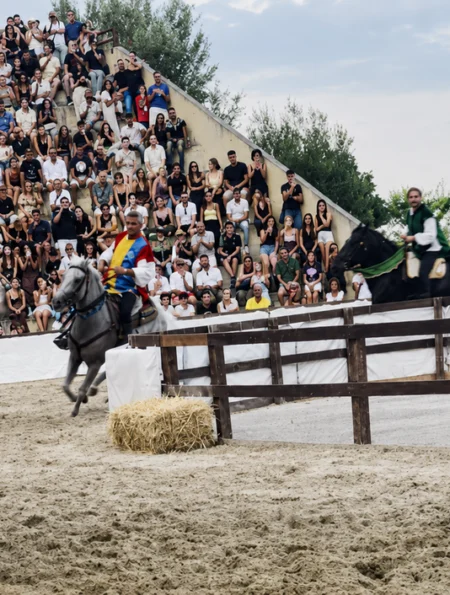 Palio Ribusa 2026