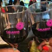 Vinitaly RC 1