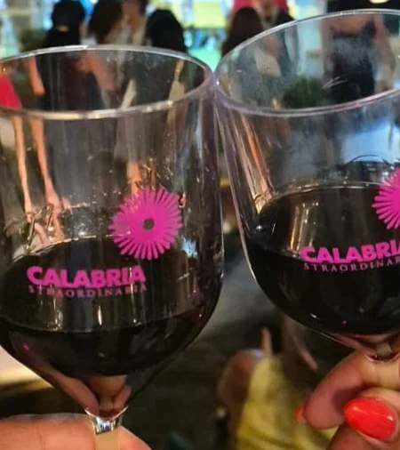 Vinitaly RC 1